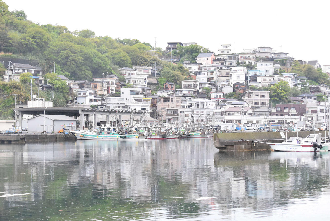 爆発があった雑賀崎漁港（撮影・阪口孝志）