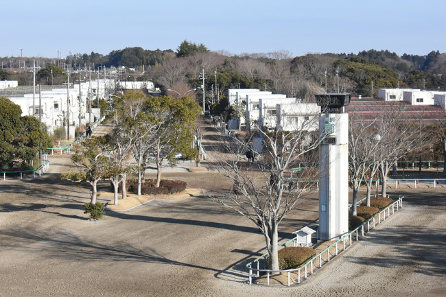 美浦トレーニングセンター、南スタンドから厩舎地区（2021年1月21日撮影）