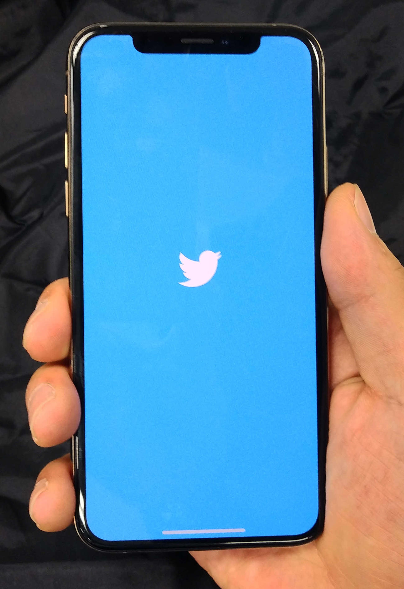 ツイッターのロゴ（2020年10月10日撮影）