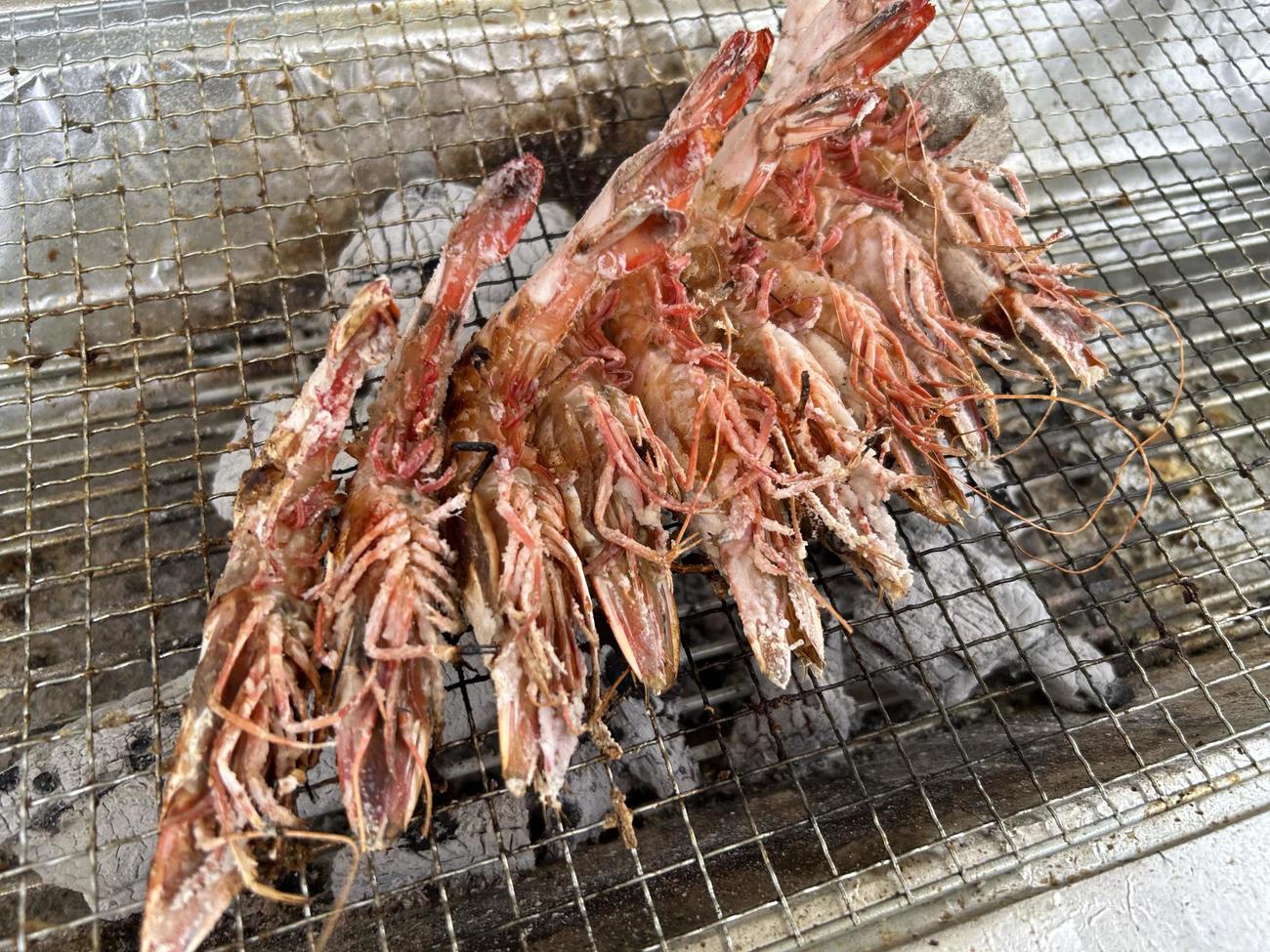 さすが場外、こんな立派なエビも焼いて食べられる