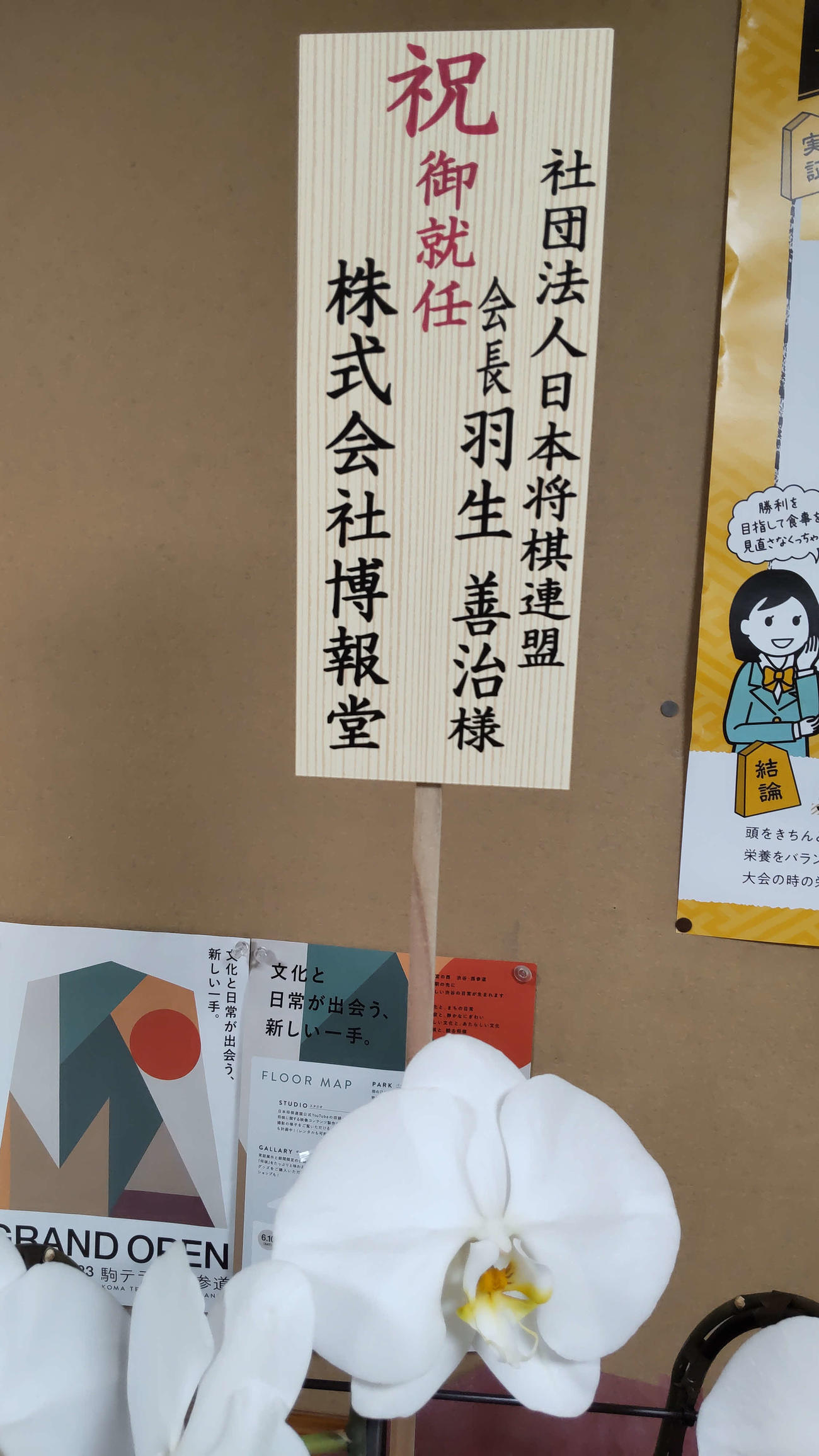 羽生善治会長就任のお祝いに贈られてきたコチョウラン