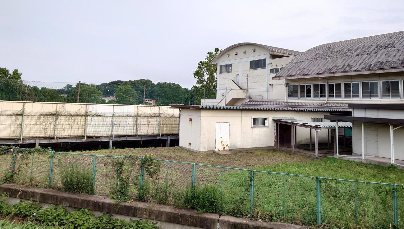 朝霞第2中学校のプール。右側は隣接する体育館（撮影・寺沢卓）