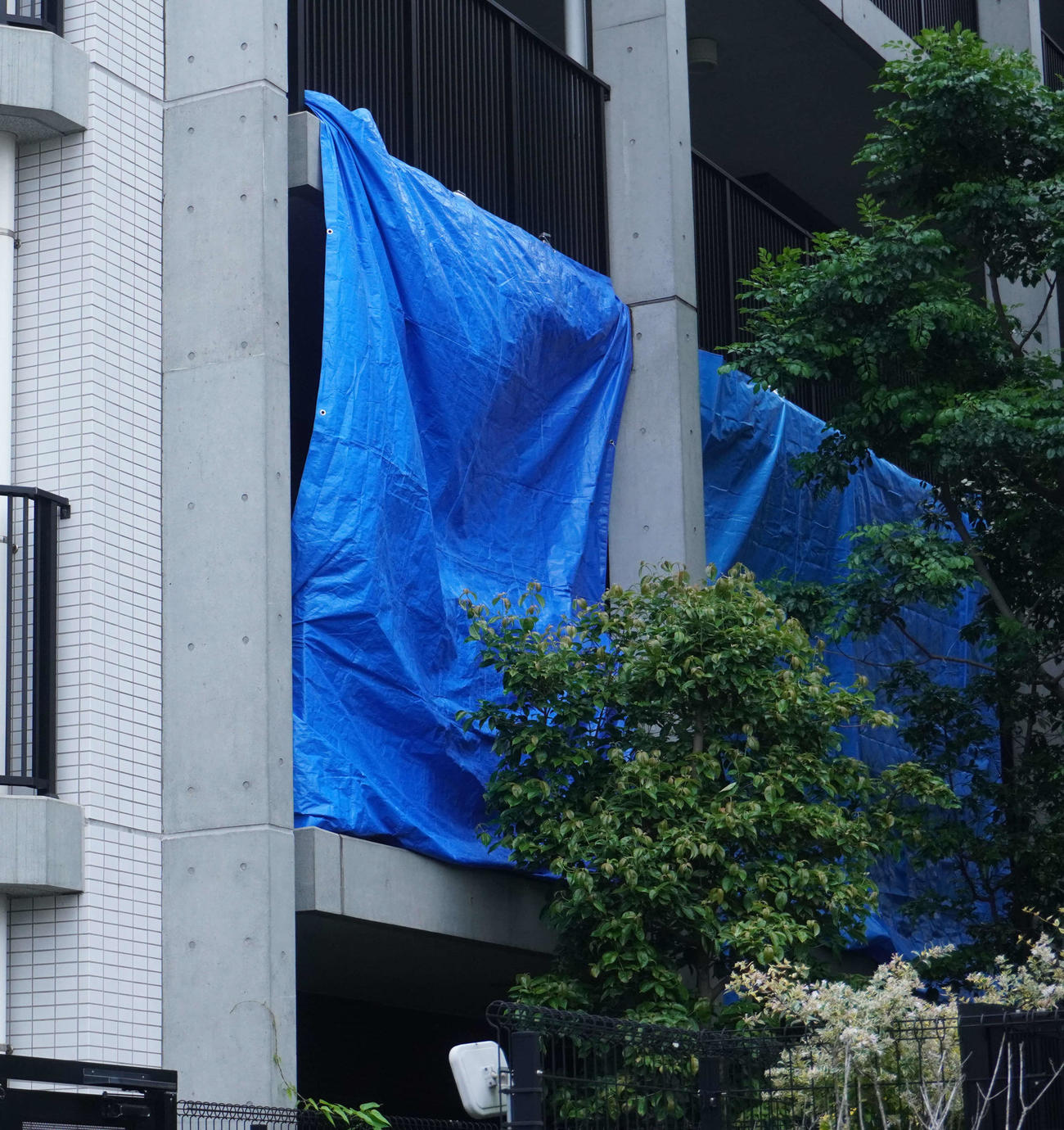 新かほり容疑者と母親の博子さんが住んでいたと見られるマンションの一室にはブルーシートがかけられていた（撮影・沢田直人）