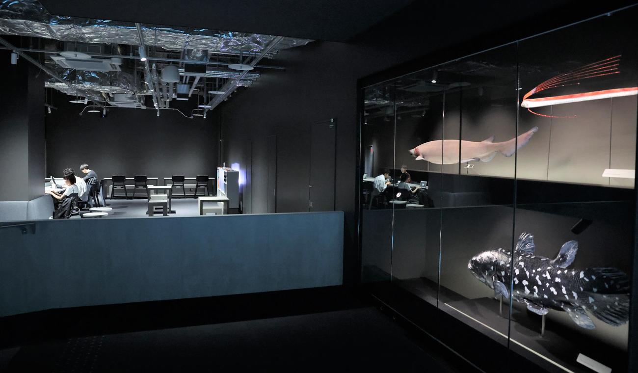 都市型水族館「AOAO SAPPORO」の5階のコワーキングスペース（撮影・黒川智章）
