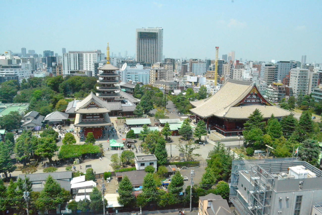 馬道通り側からは浅草寺の境内が一望できる