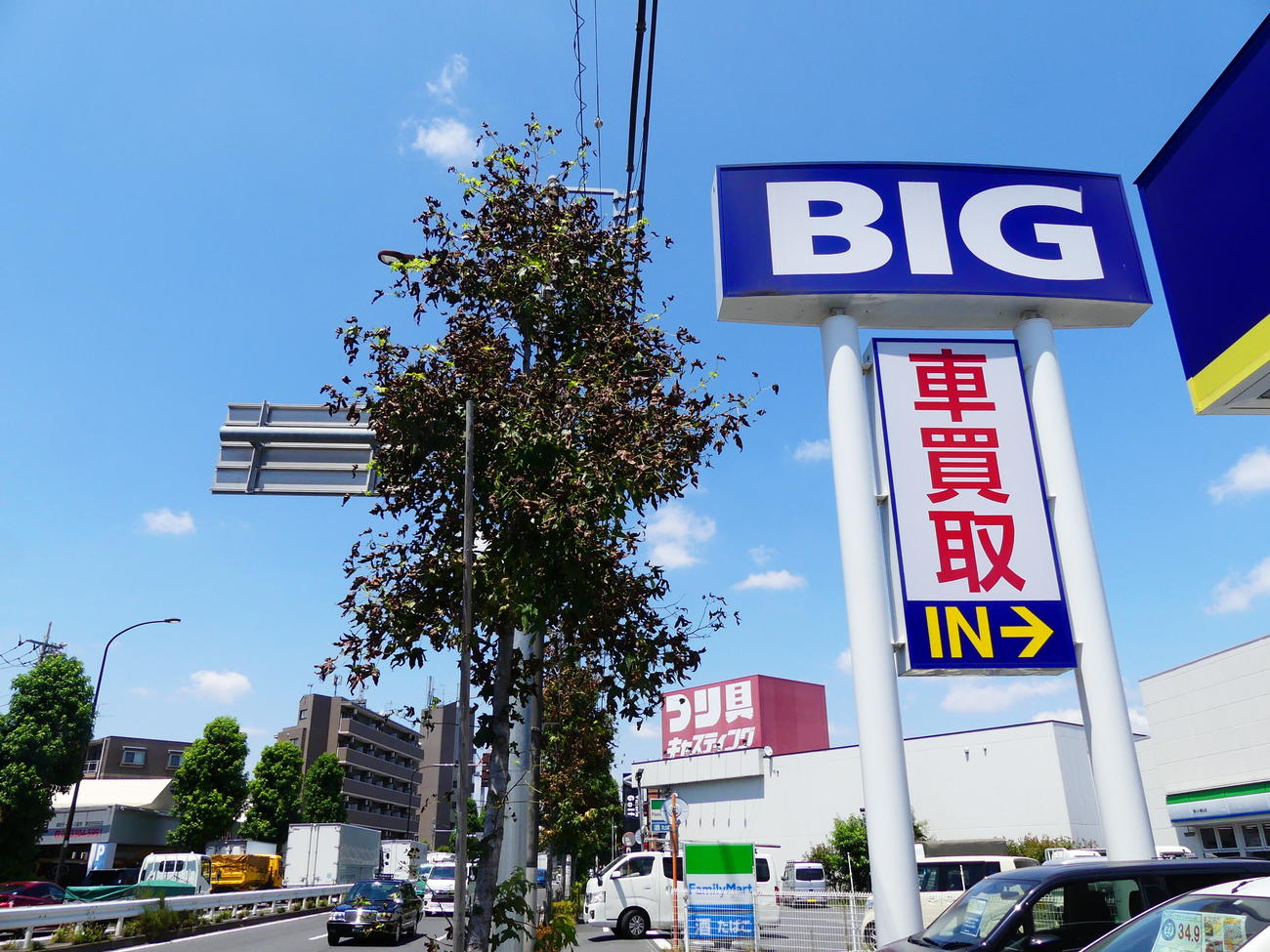 東京都内のビッグモーター店舗前にある樹木は、緑あふれる他の場所の樹木に比べ、枯れ葉が目立った