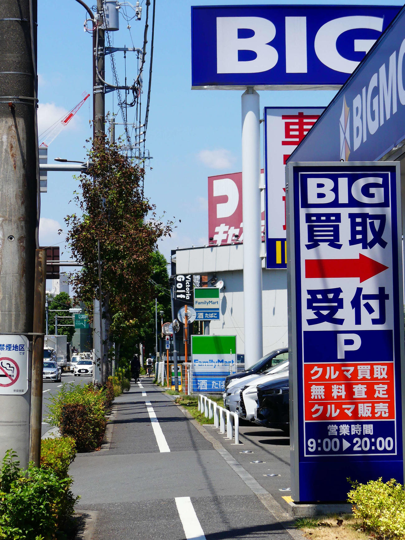 東京都内のビッグモーター店舗前にある樹木は、緑あふれる他の場所の樹木に比べ、枯れ葉が目立った