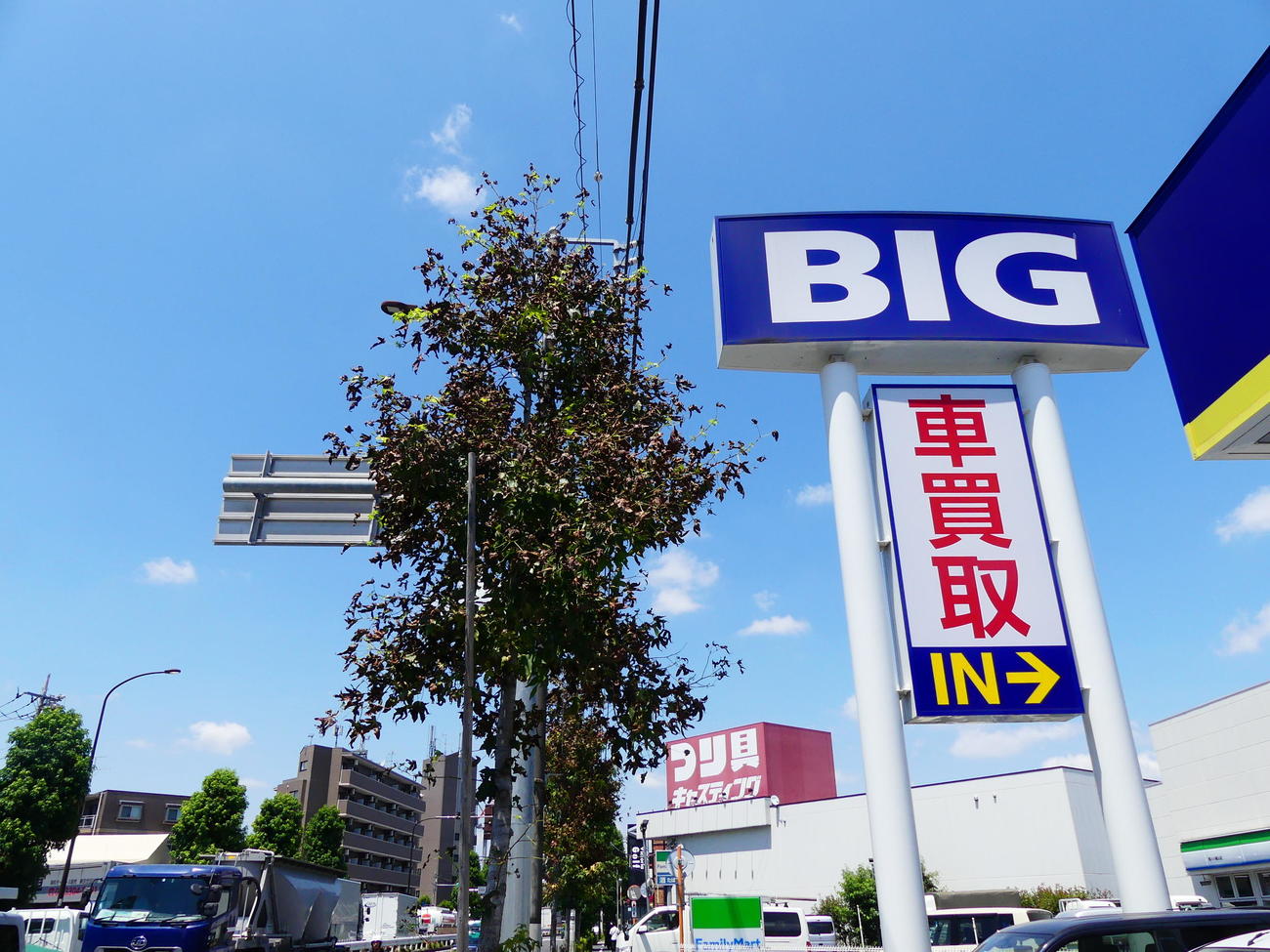 東京都内のビッグモーター店舗前にある樹木は、緑あふれる他の場所の樹木に比べ、枯れ葉が目立った