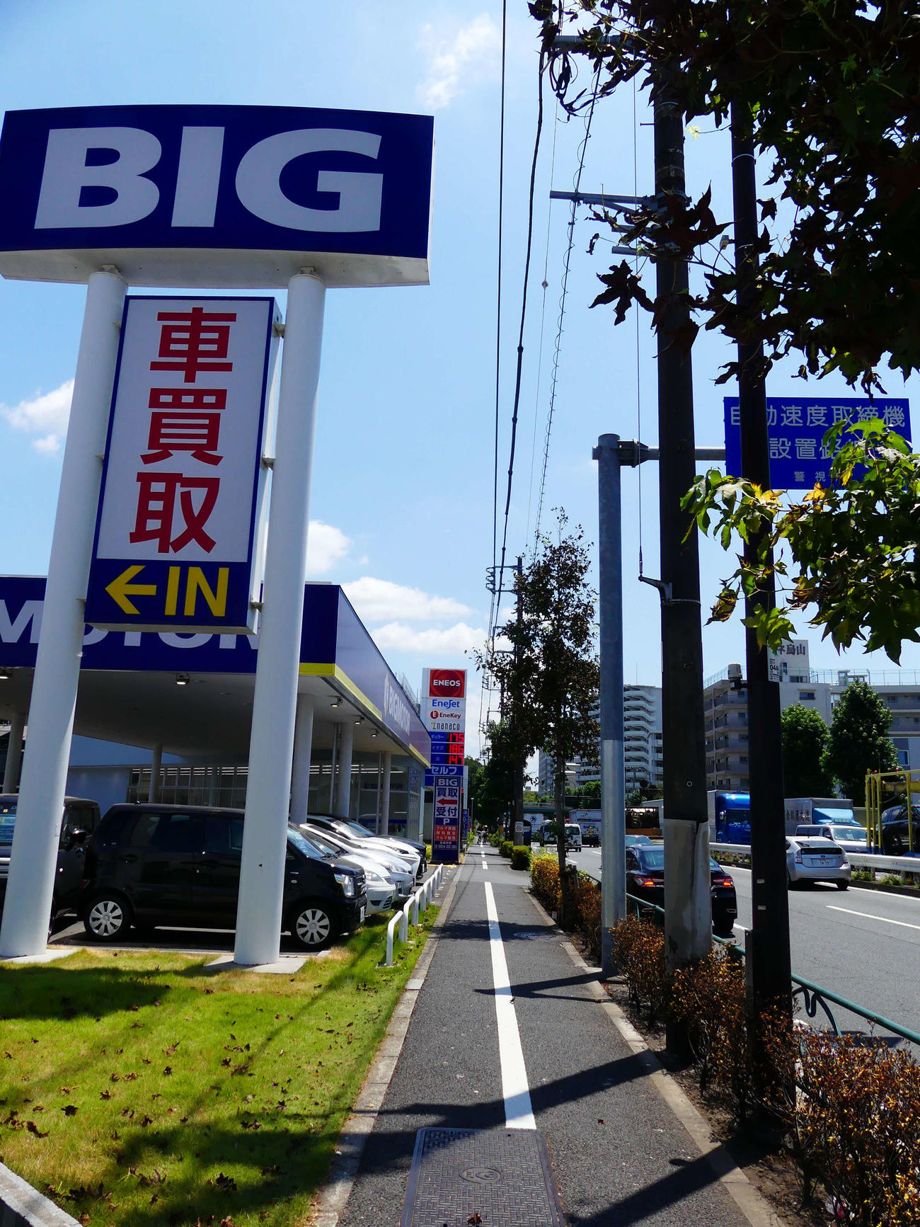 東京都内のビッグモーターの店舗前の植え込みの低木は枯れ、店舗近くの芝生には街路樹の落ち葉が散乱していた