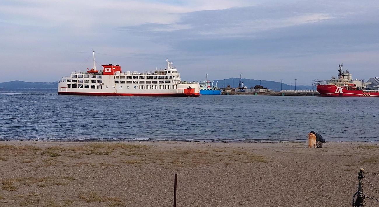 久里浜海岸沖を航行する塗装前のしらはま丸（撮影・寺沢卓）
