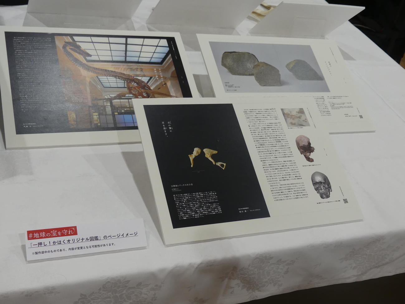 クラウドファンディングの返礼品の1つ「かはくオリジナル図鑑」のイメージページ（撮影・中山知子）