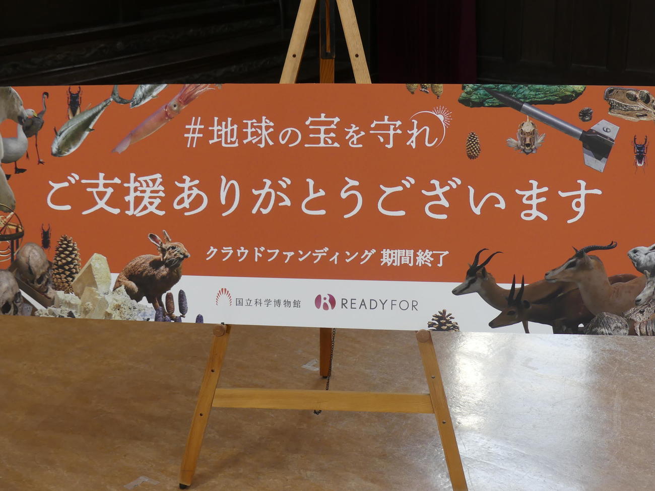 8月から続いていたクラウドファンディングで9億1556万円の支援が寄せられたことを発表した国立科学博物館（撮影・中山知子）