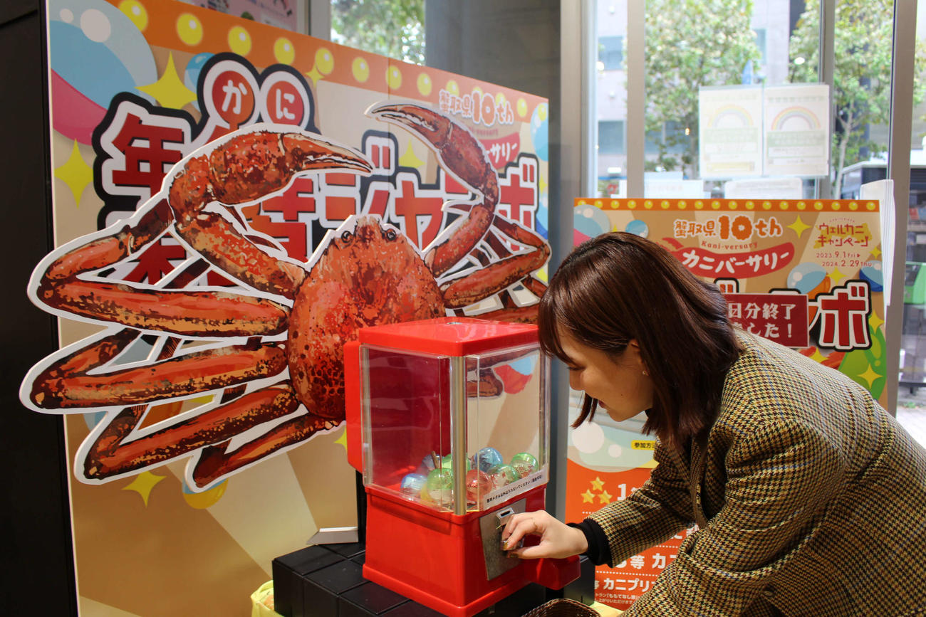 鳥取県のアンテナショップ「とっとり・おかやま新橋館」（東京・新橋）に登場したカプセルトイ「カニバーサリー　年末蟹（かに）ジャンボ」