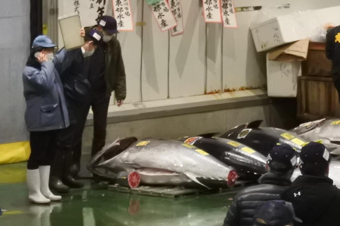 豊洲市場の初競り前に並べられた大間産の「一番マグロ」（左）（撮影・中島正好）