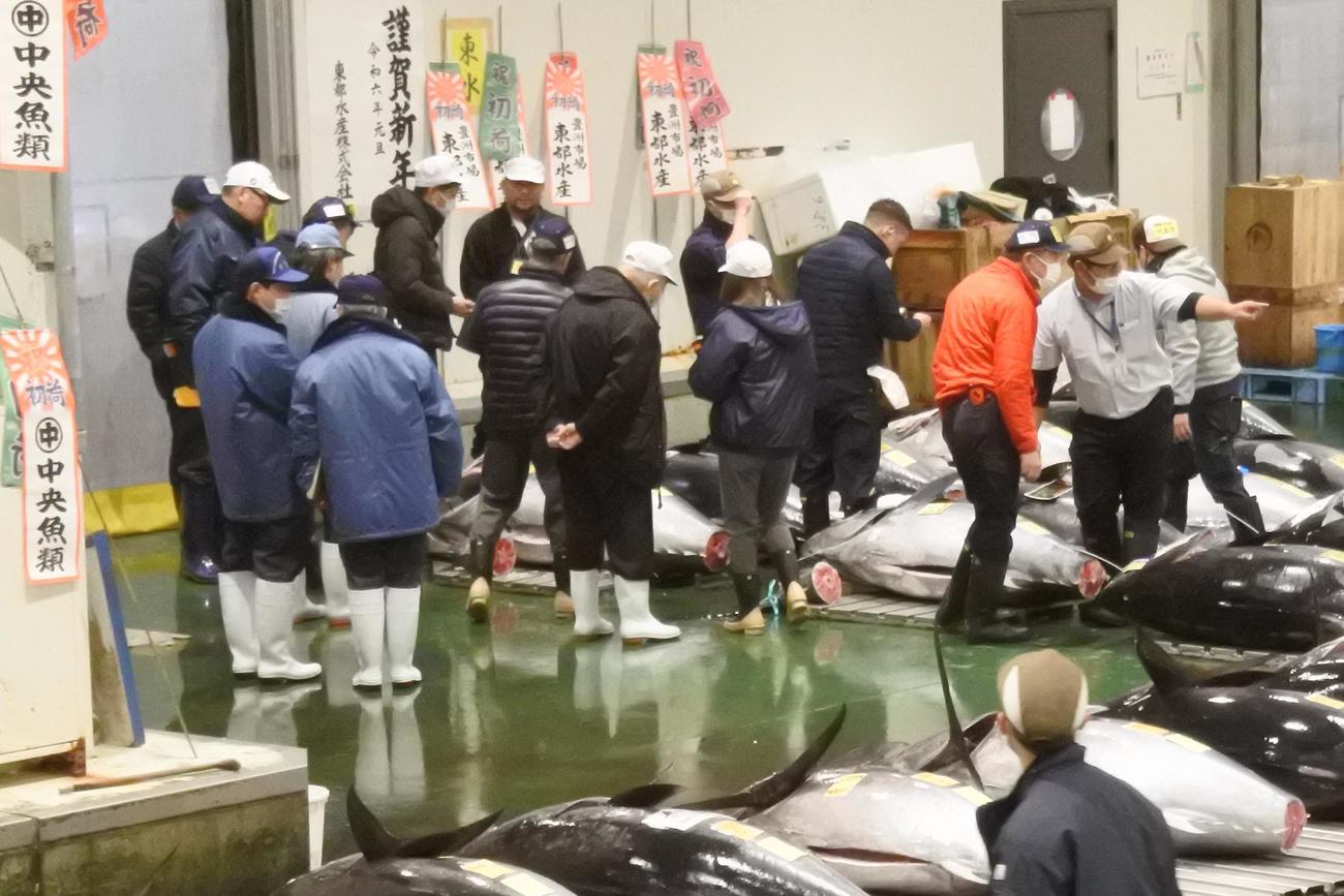 豊洲市場の初競り前に「一番マグロ」を囲んで見定めする仲買人ら（撮影・中島正好）