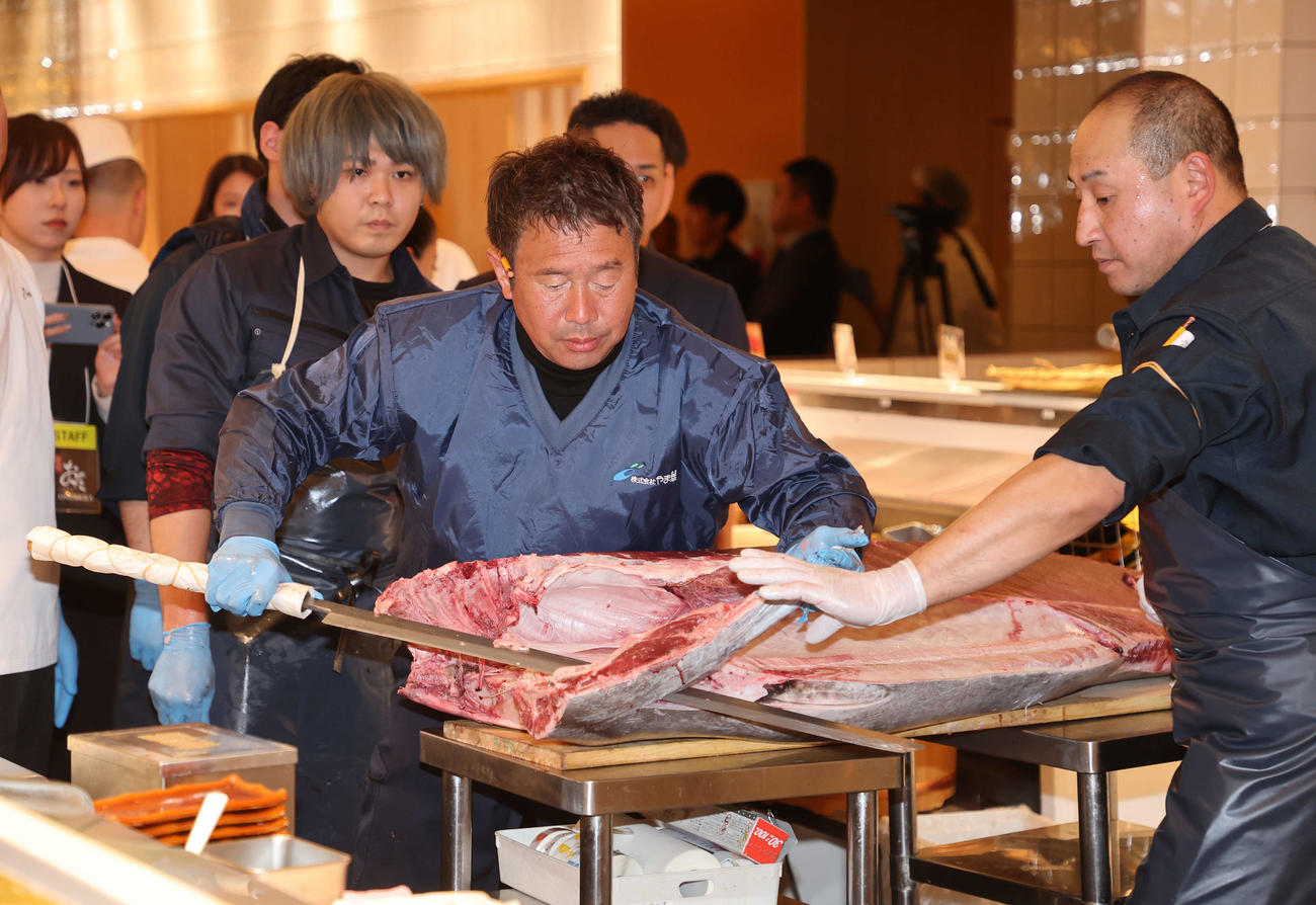 解体される初競り1番マグロ（撮影・鈴木正人）