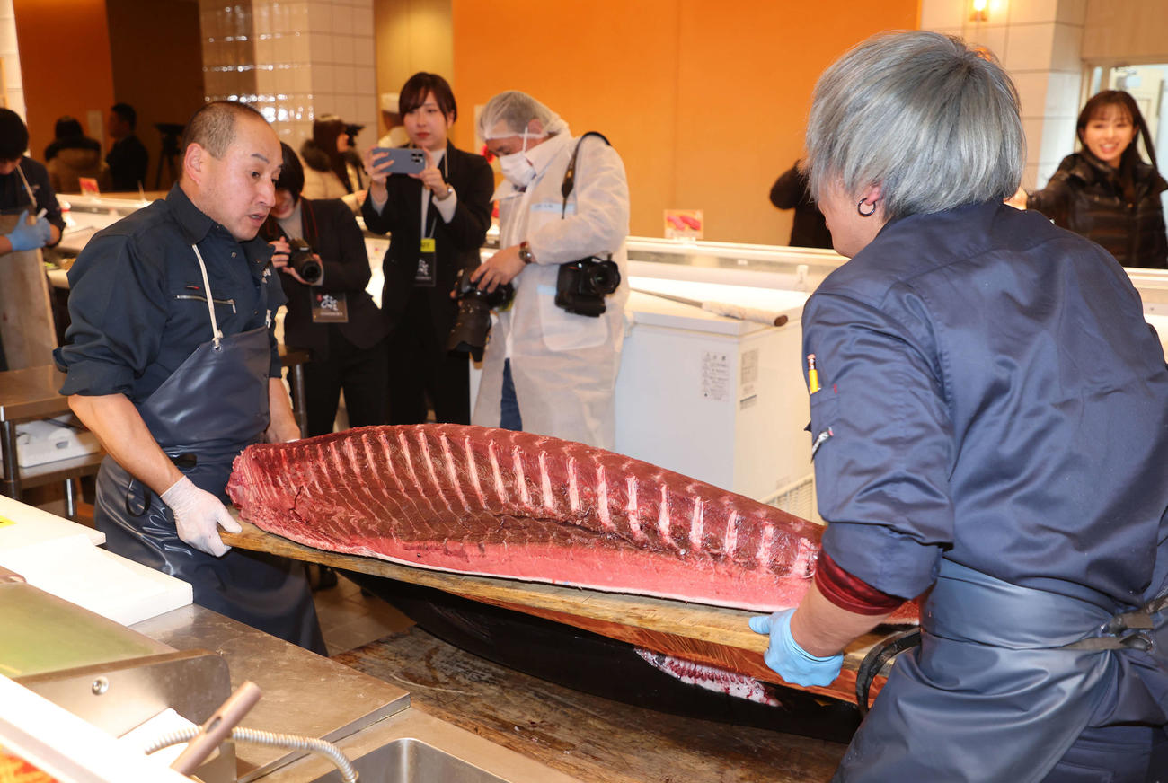 解体される初競り1番マグロ（撮影・鈴木正人）