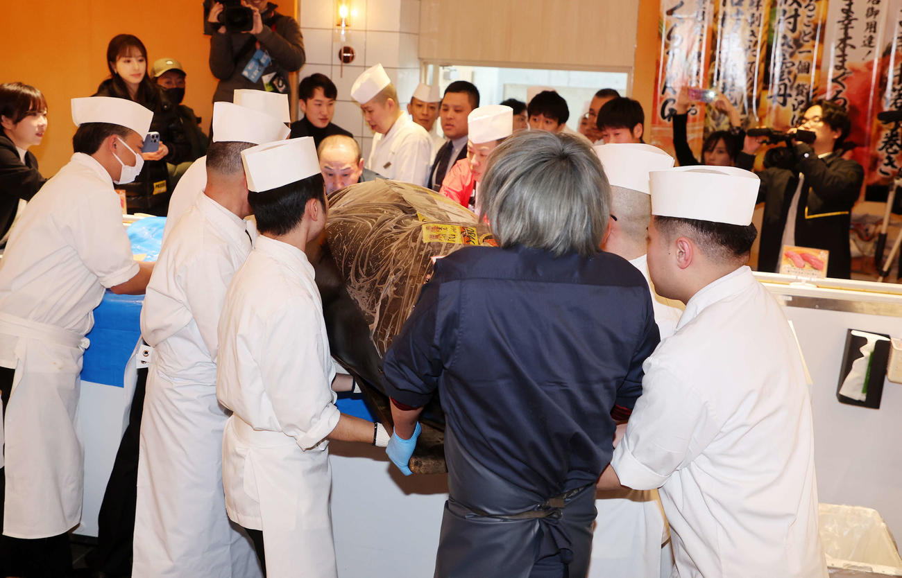 厨房（ちゅうぼう）に運ばれる初競り1番マグロ（撮影・鈴木正人）