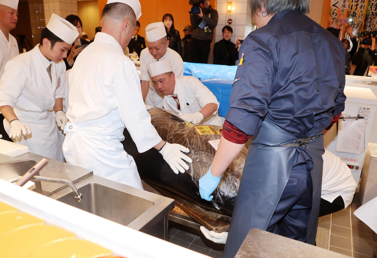 厨房（ちゅうぼう）に運ばれる初競り1番マグロ（撮影・鈴木正人）