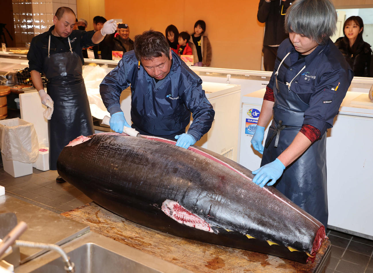 解体される初競り1番マグロ（撮影・鈴木正人）