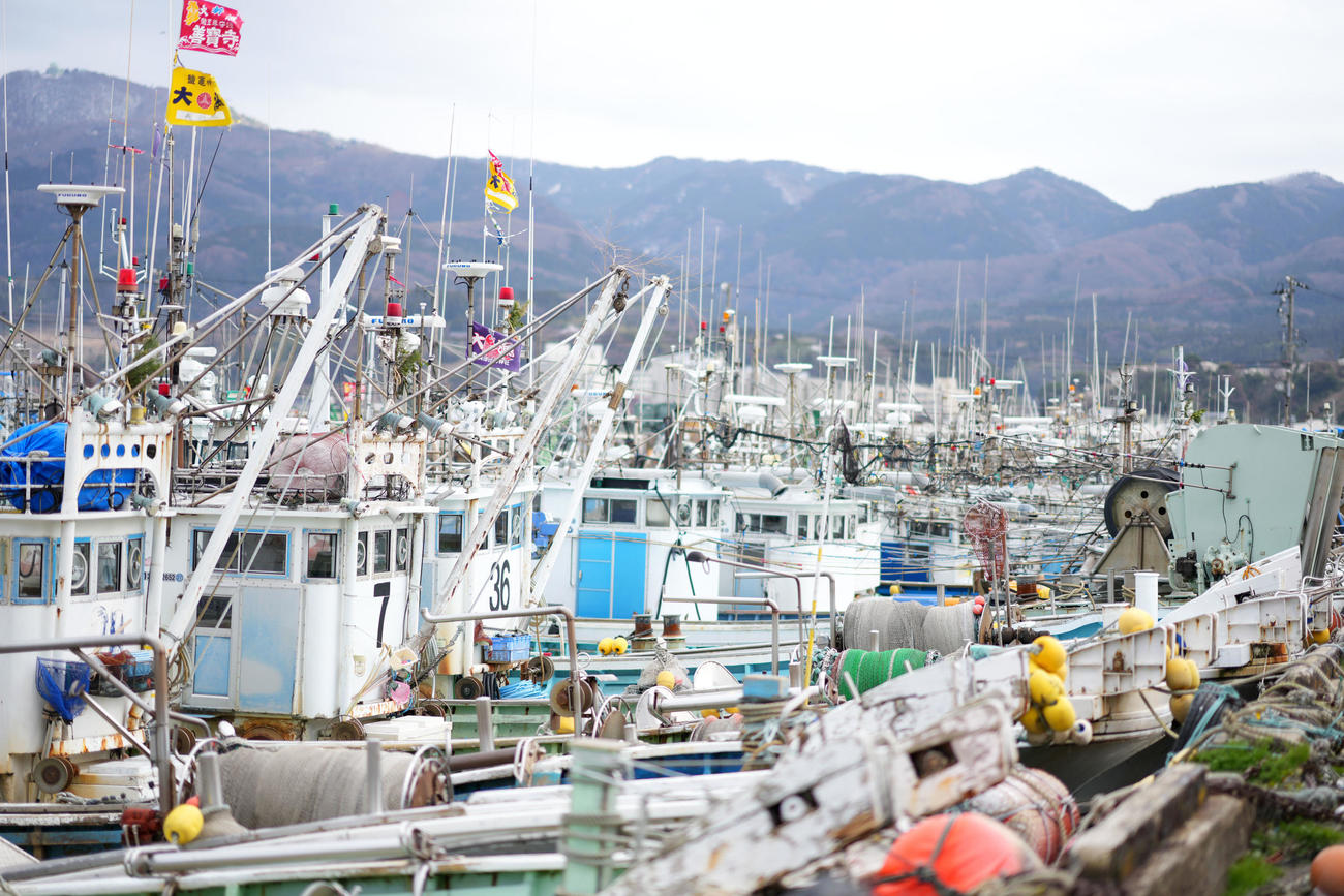 輪島港に並んだ漁船、能登半島地震での海底隆起による水位低下、港の電気が止まっていることにより冷蔵庫が使えない、輸送確保ができないなど問題山積みにより再開のめどはたっていないという。（撮影・横山健太）