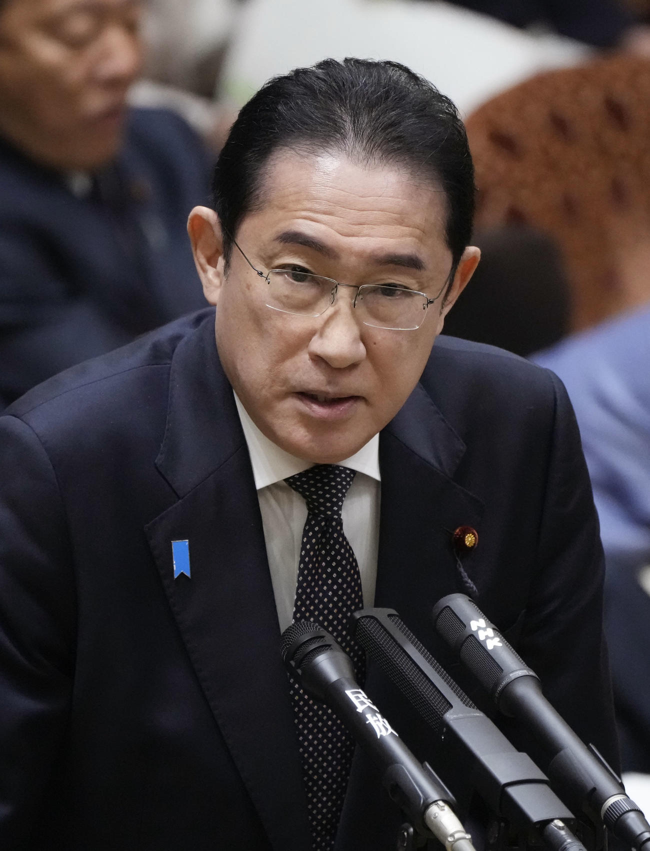 参院予算委で答弁する岸田首相（共同）