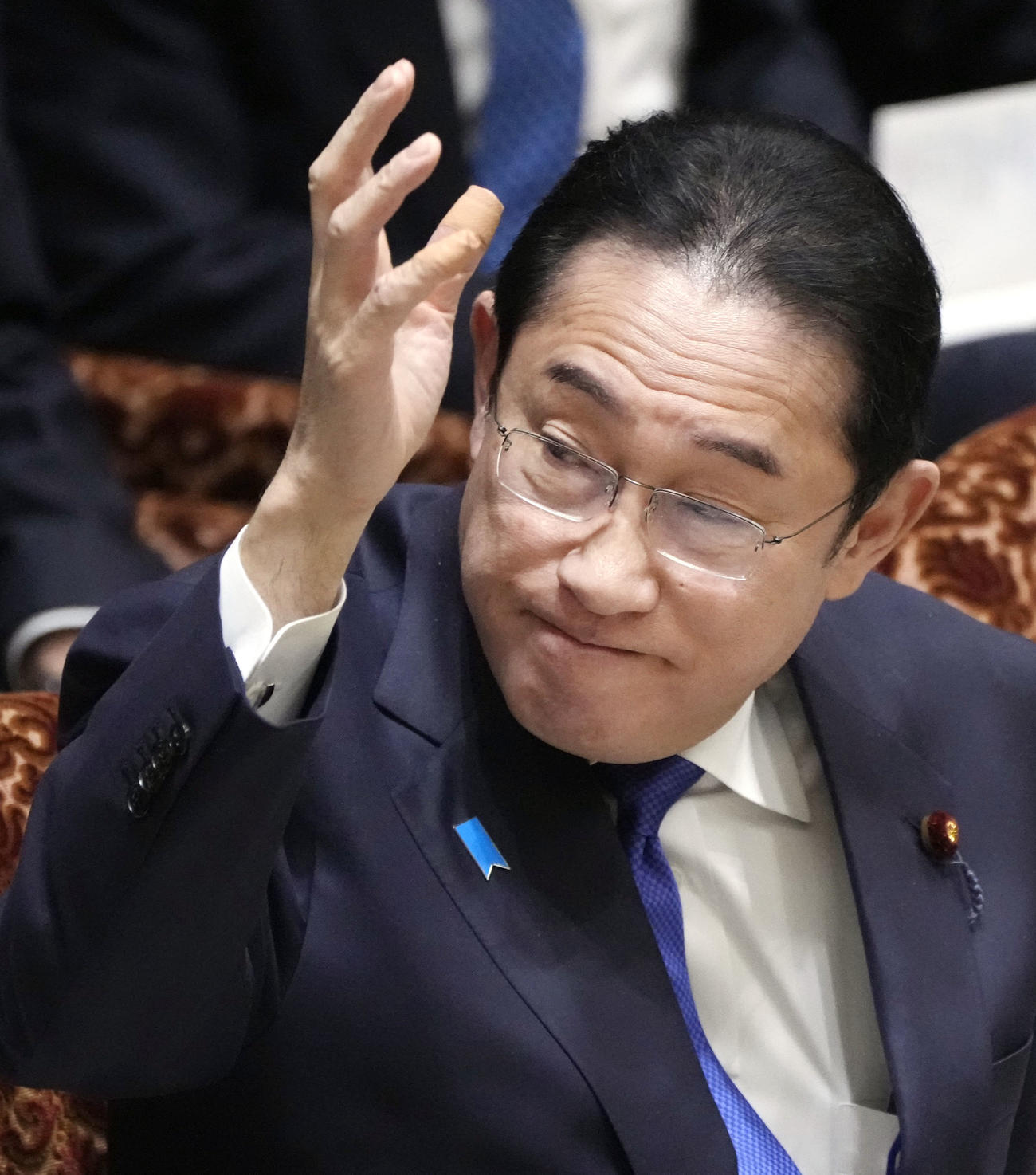 参院予算委で答弁のため挙手する岸田首相（共同）