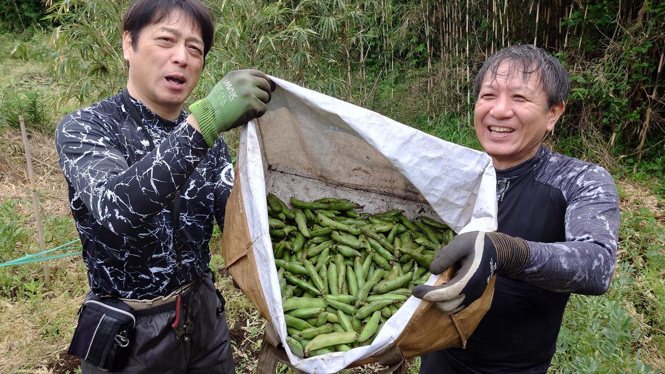 「城ケ島野菜をつなぐ会」の小林敏昭さん（左）と丸野暢久さん。今年は不作の年だったがきれいに育った（撮影・寺沢卓）