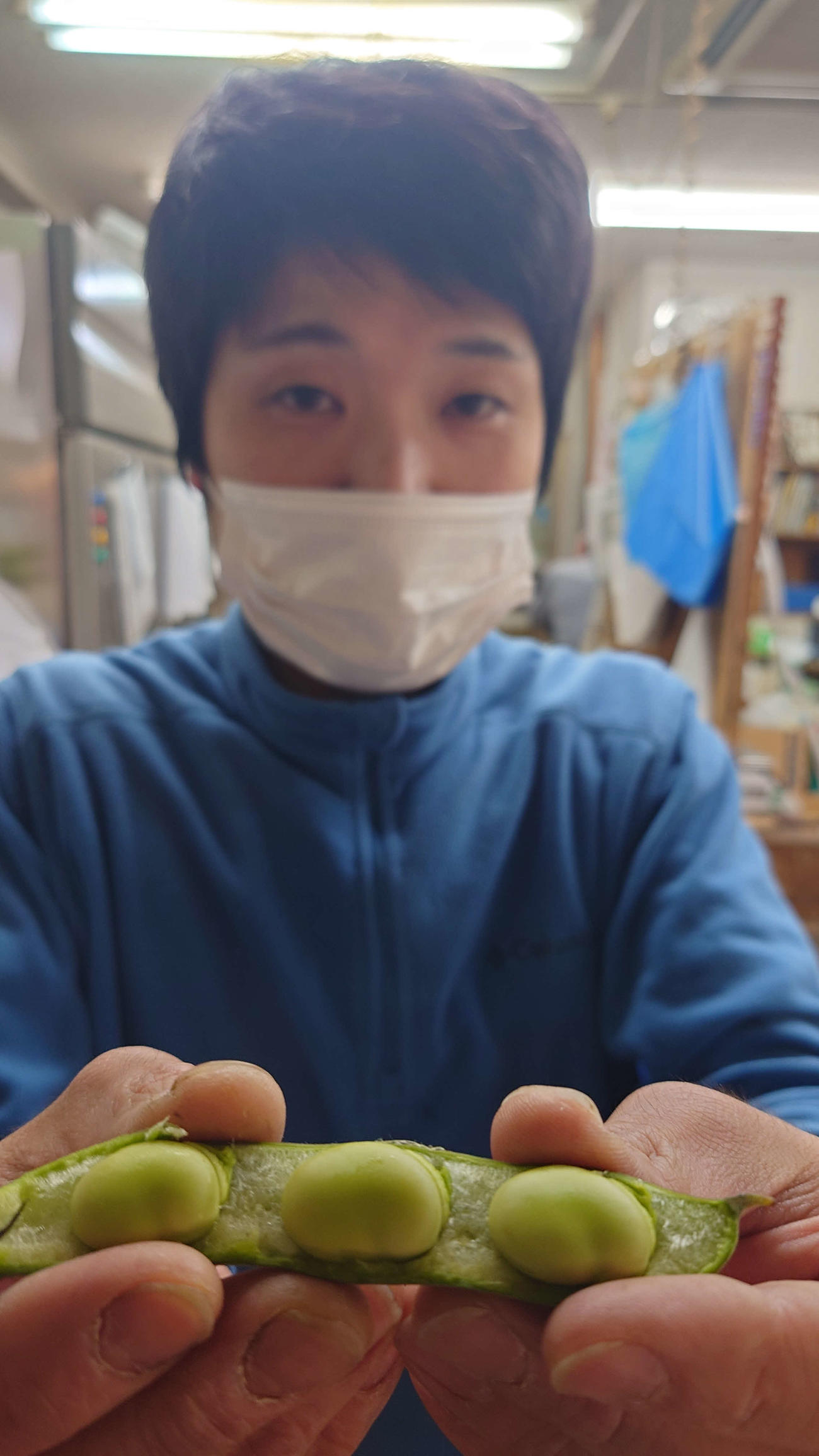 「城ケ島のソラマメうまいと思います」と藤本商店の藤本貴也さ（撮影・寺沢卓）