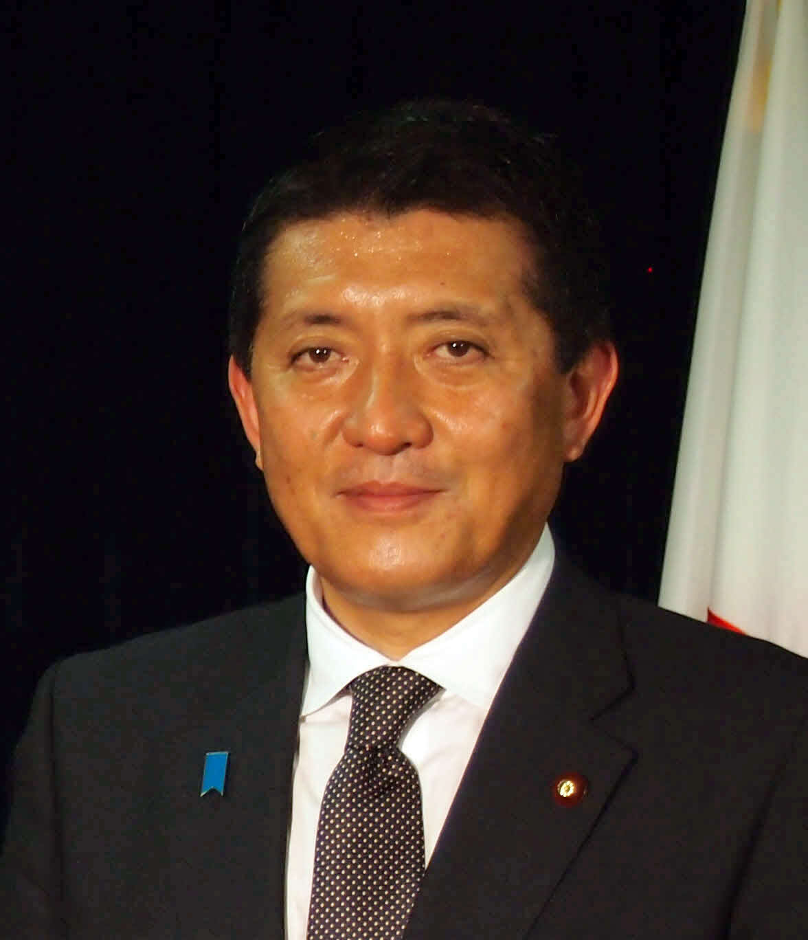 平井卓也氏（2013年6月撮影）