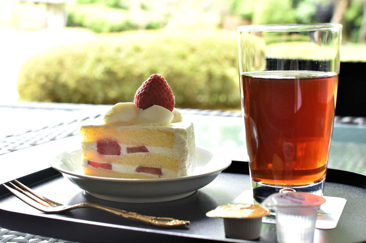 伊藤匠七段の午前のおやつは「プレミアムショートケーキ」「アイスティー」（日本将棋連盟提供）