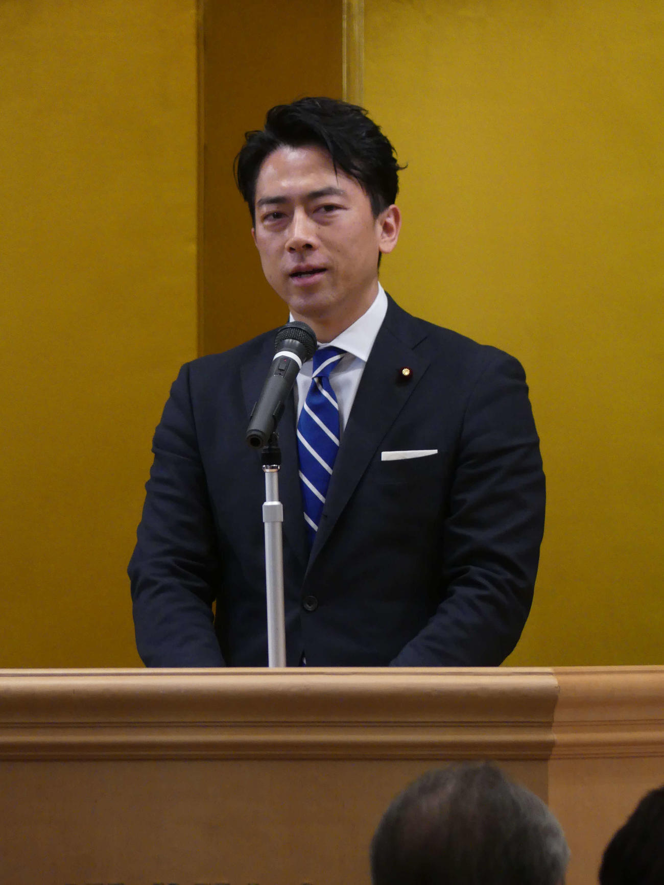 9月の自民党総裁選出馬が取りざたされる小泉進次郎元環境相（2024年3月撮影）