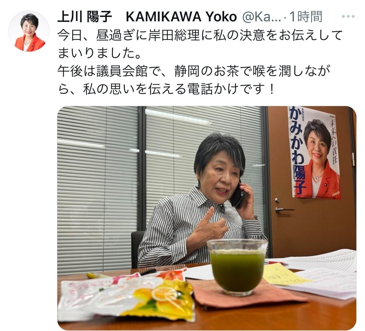上川陽子外相のＸから