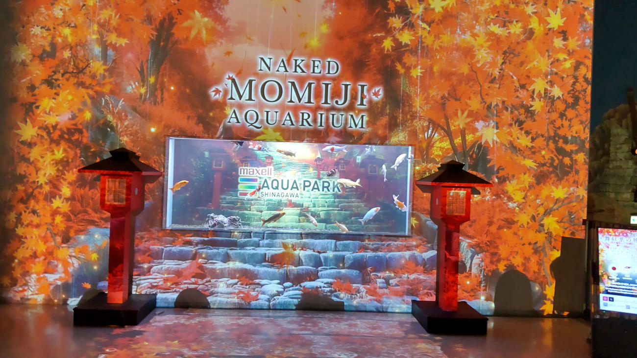 秋のイベントとして「マクセル　アクアパーク品川」で13日から初めて開催される「NAKED MOMIJI AQUARIUM」