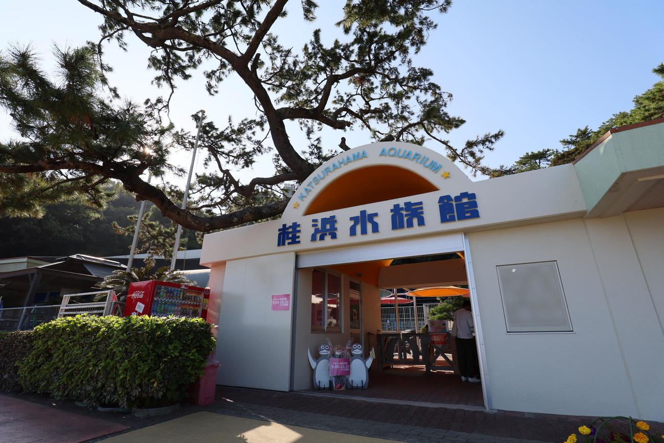 桂浜水族館（2022年11月4日撮影）