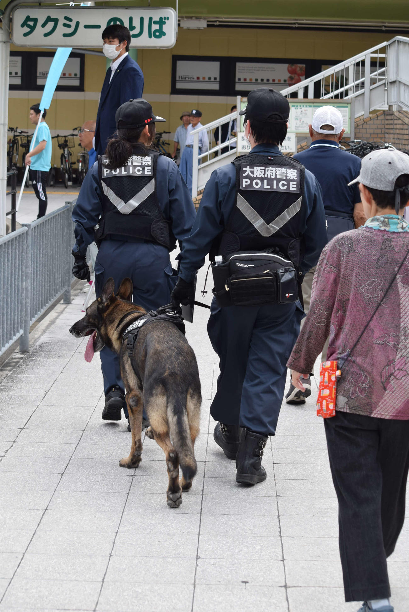 小泉進次郎氏が応援演説入りし、警察犬も警戒（撮影・阪口孝志）
