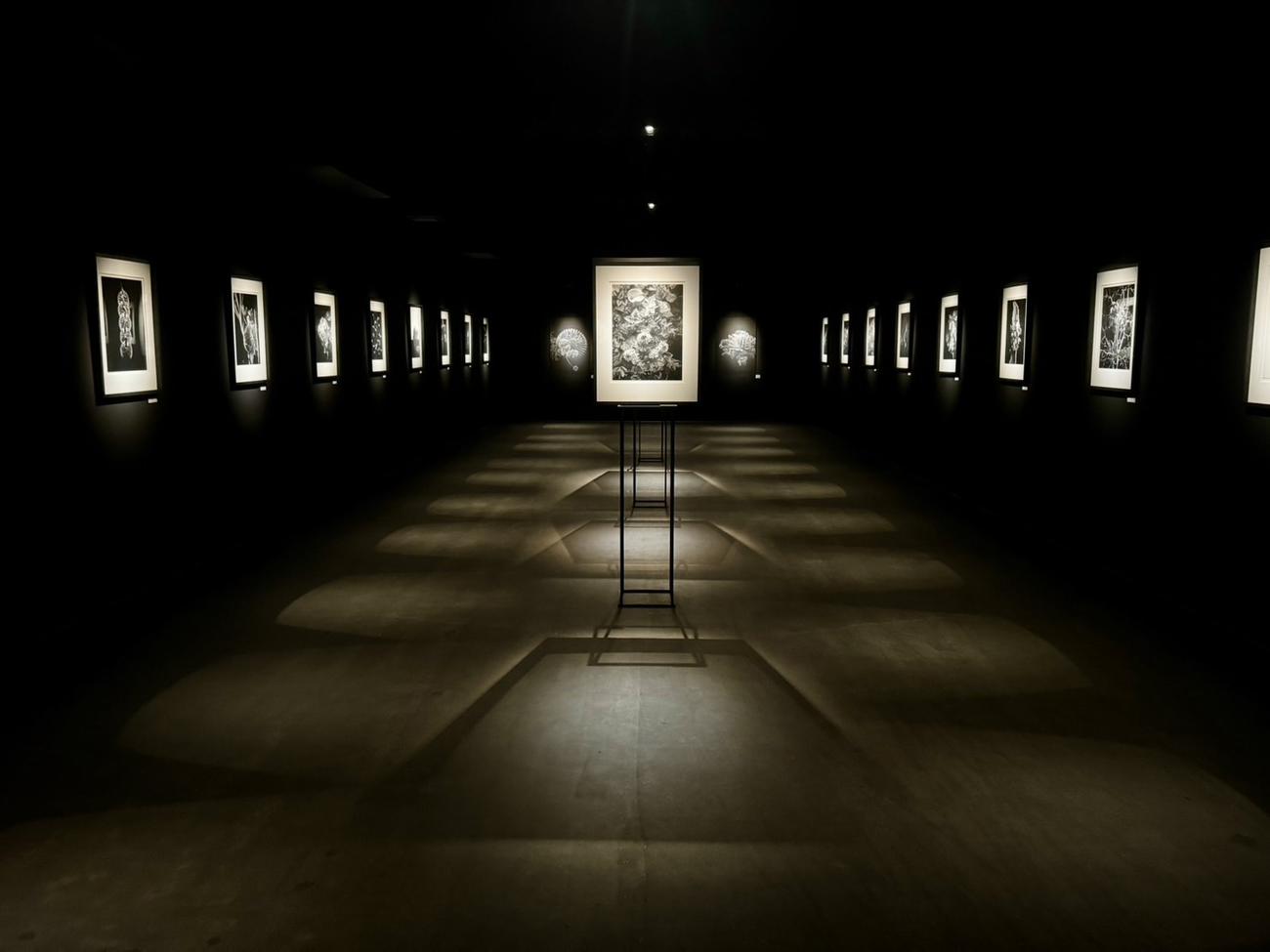「Akai Masaru Art Museum」のオープニングセレモニー