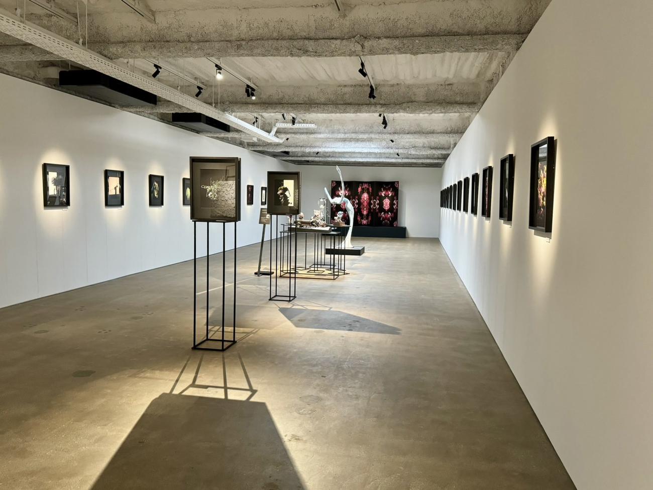 「Akai Masaru Art Museum」のオープニングセレモニー