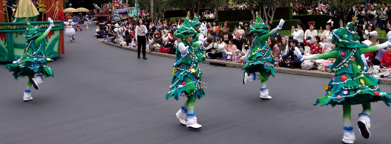 見事な隊列を組んでいたもみの木だが、突然四方八方に走り出した（撮影・寺沢卓）