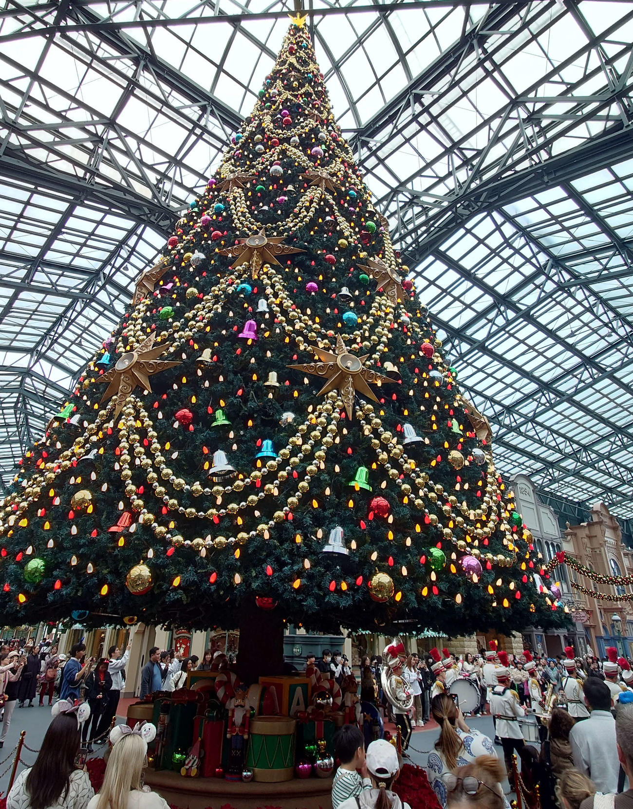 真下から見上げるとクリスマスツリーの大迫力が伝わってくる（撮影・寺沢卓）