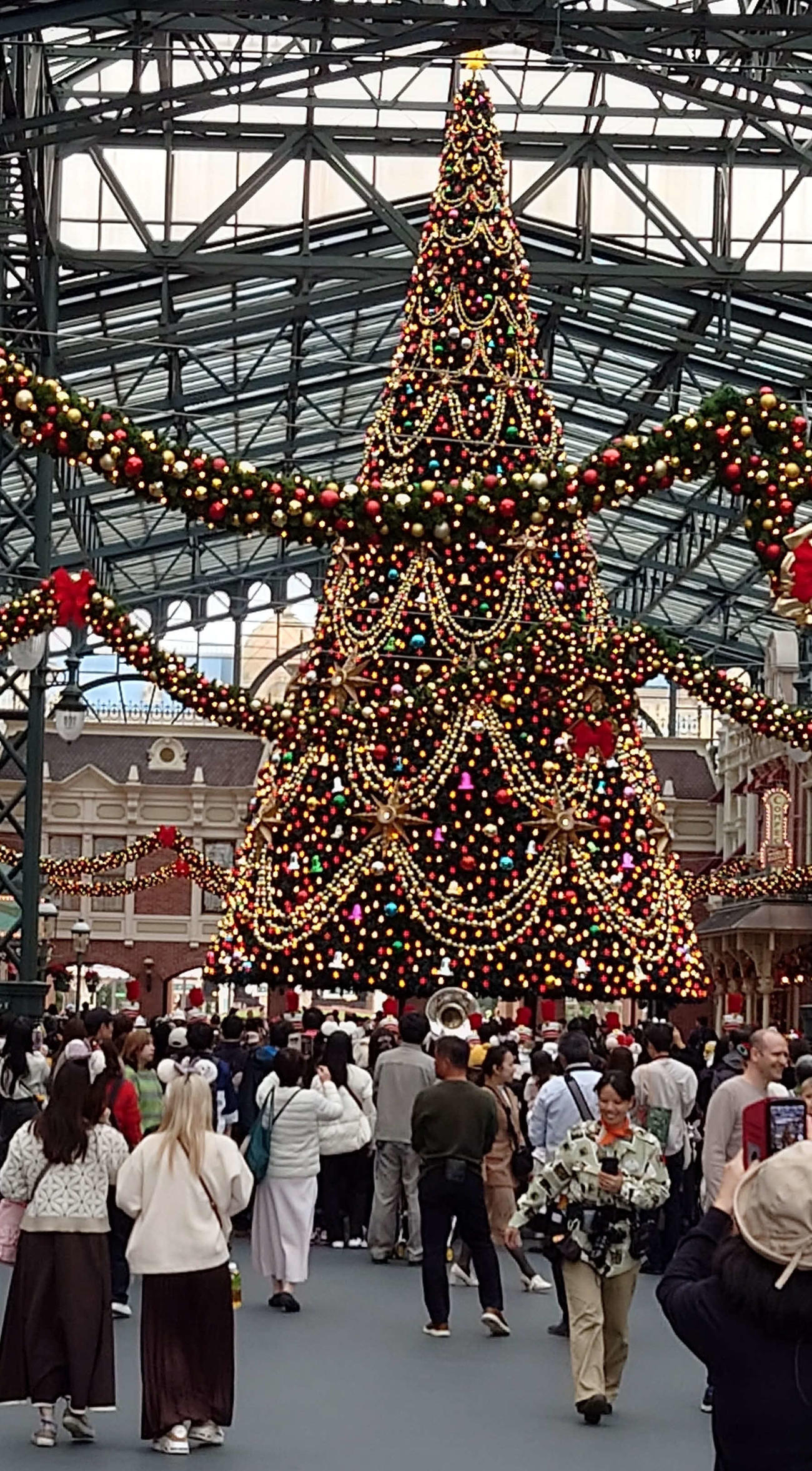 TDLにクリスマスツリーが今年も登場。高さは約15メートル（撮影・寺沢卓）