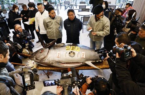 276キロマグロ上げた第56新栄丸・竹内船長、年末は船出さず「海と相談