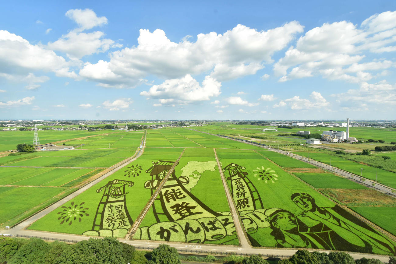 「行田タワー」から見た田んぼアートの眺め（2024年）