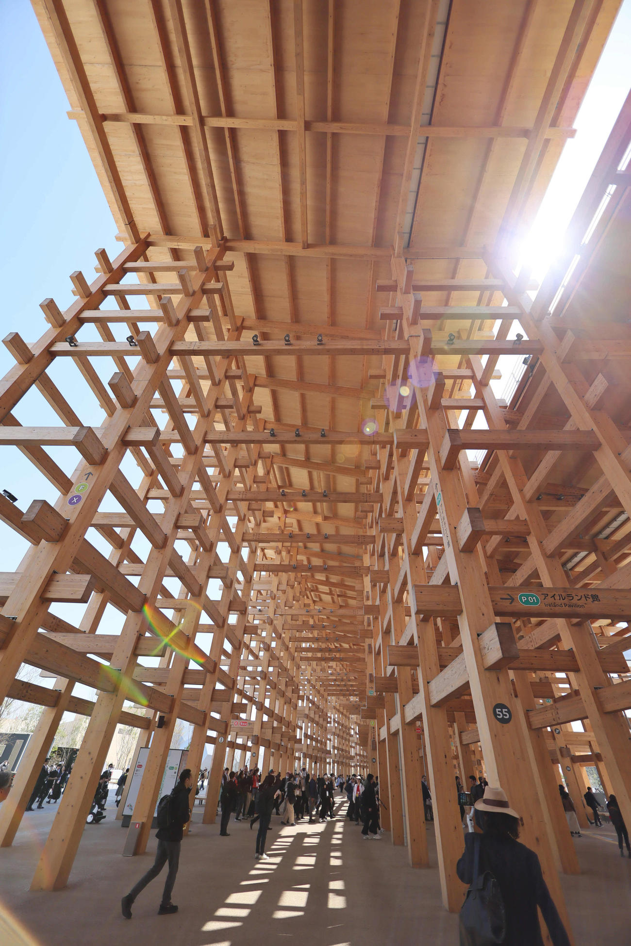 EXPO2025大阪・関西万博の大屋根リング（撮影・宮崎幸一）