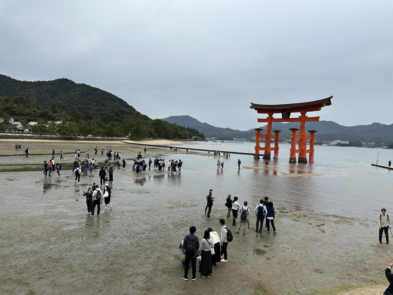 宮島の厳島神社大鳥居