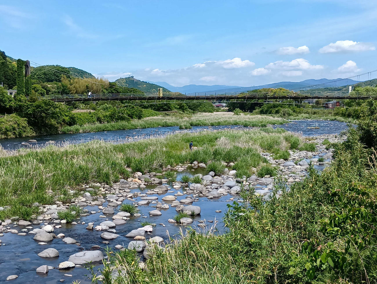 24日のアユの友釣り解禁を前に一斉清掃が行われた静岡・狩野川