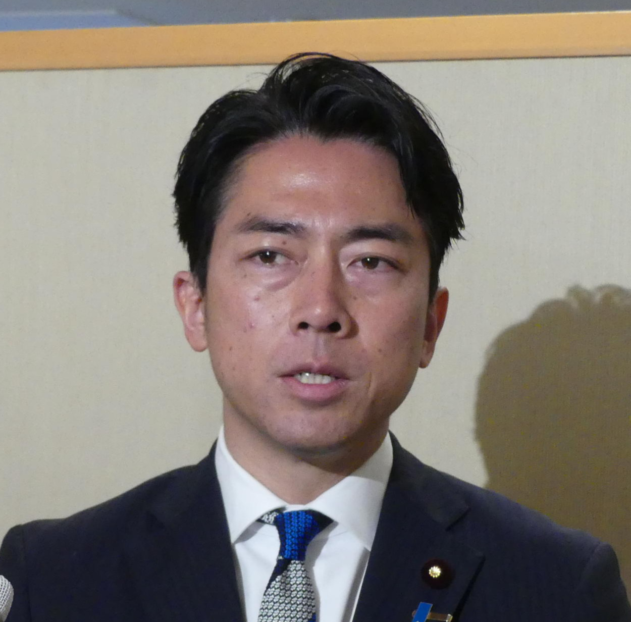 小泉進次郎氏（2025年3月）