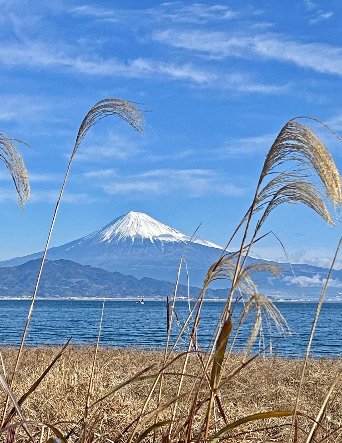 よく晴れた日の富士山（撮影・神谷亮磨）