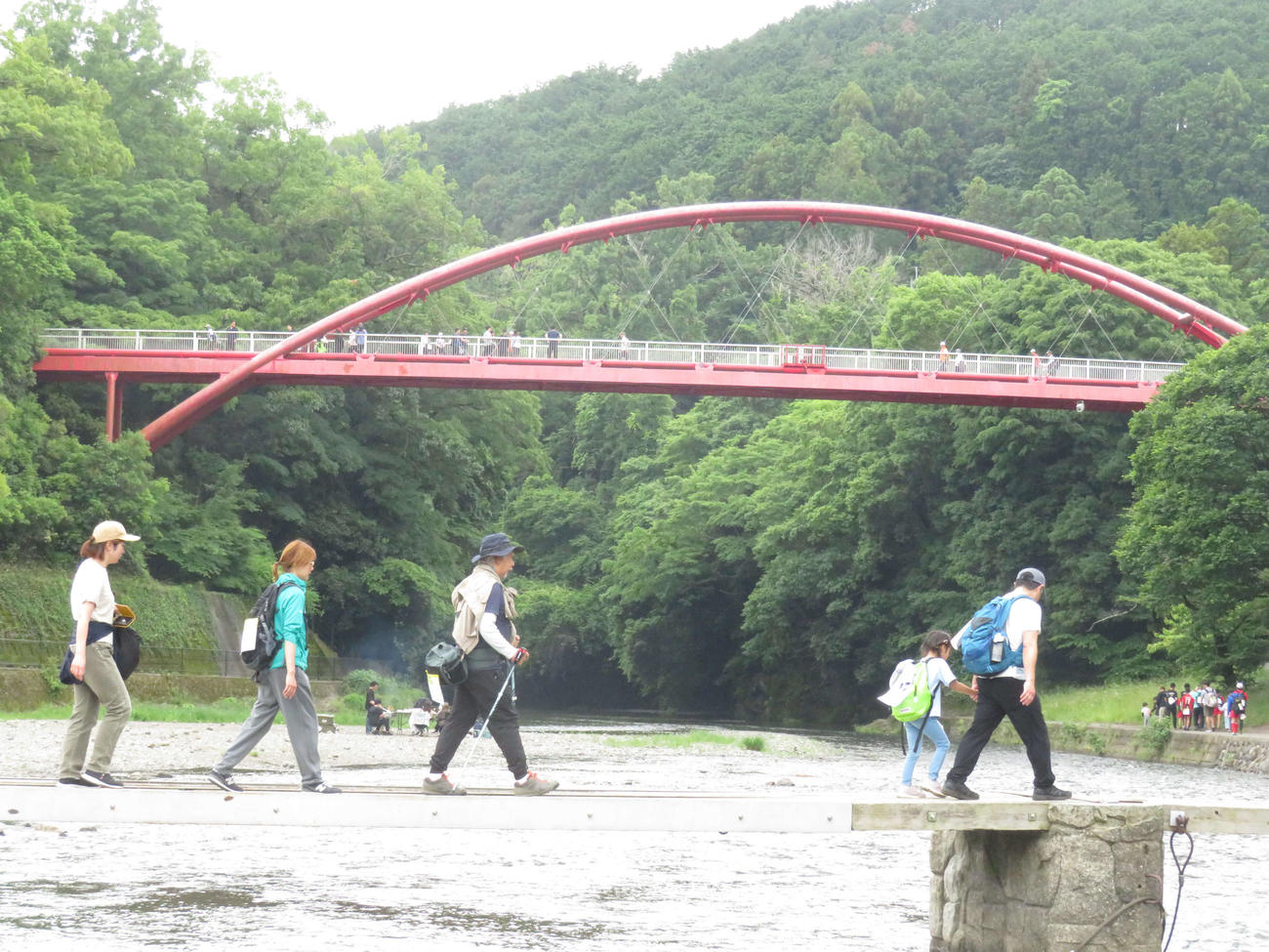 緑と清流の自然豊かなコースを歩く参加者