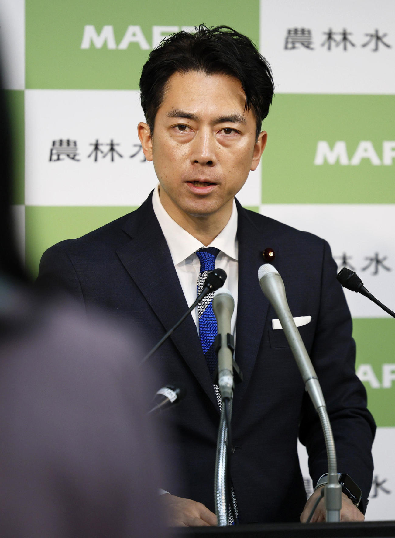 閣議後に記者会見する小泉農相（共同）